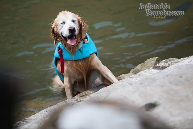 Ruffwear Float Coat Durability