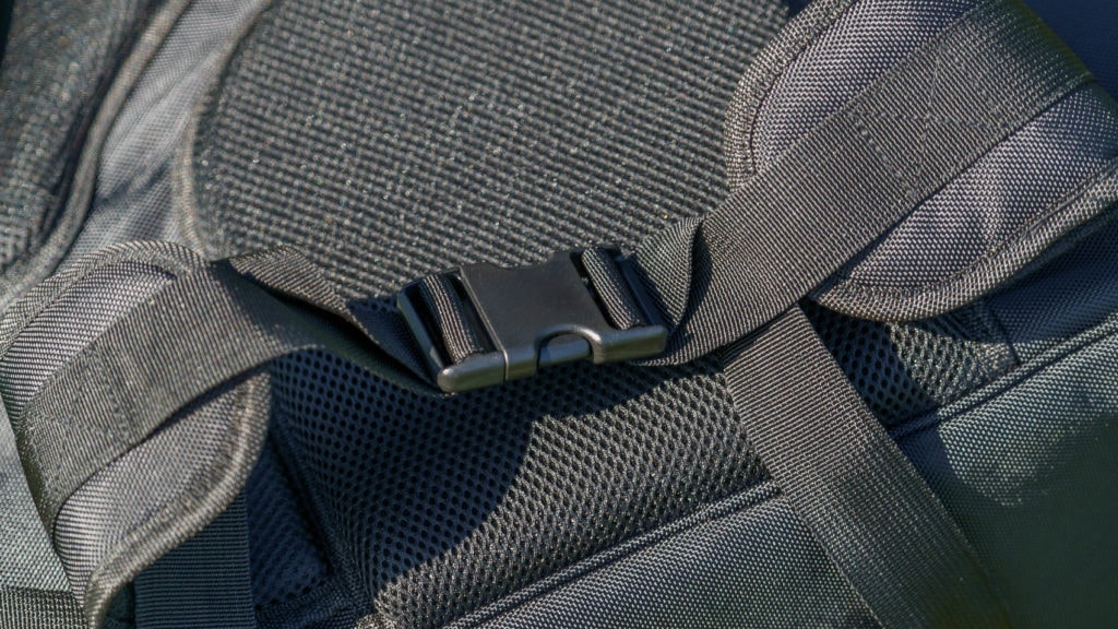 Detail of the waist strap with large buckle.