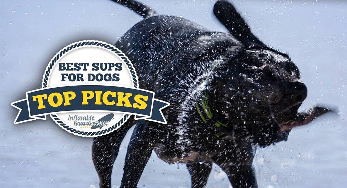 Best Paddleboards for Dogs 2022