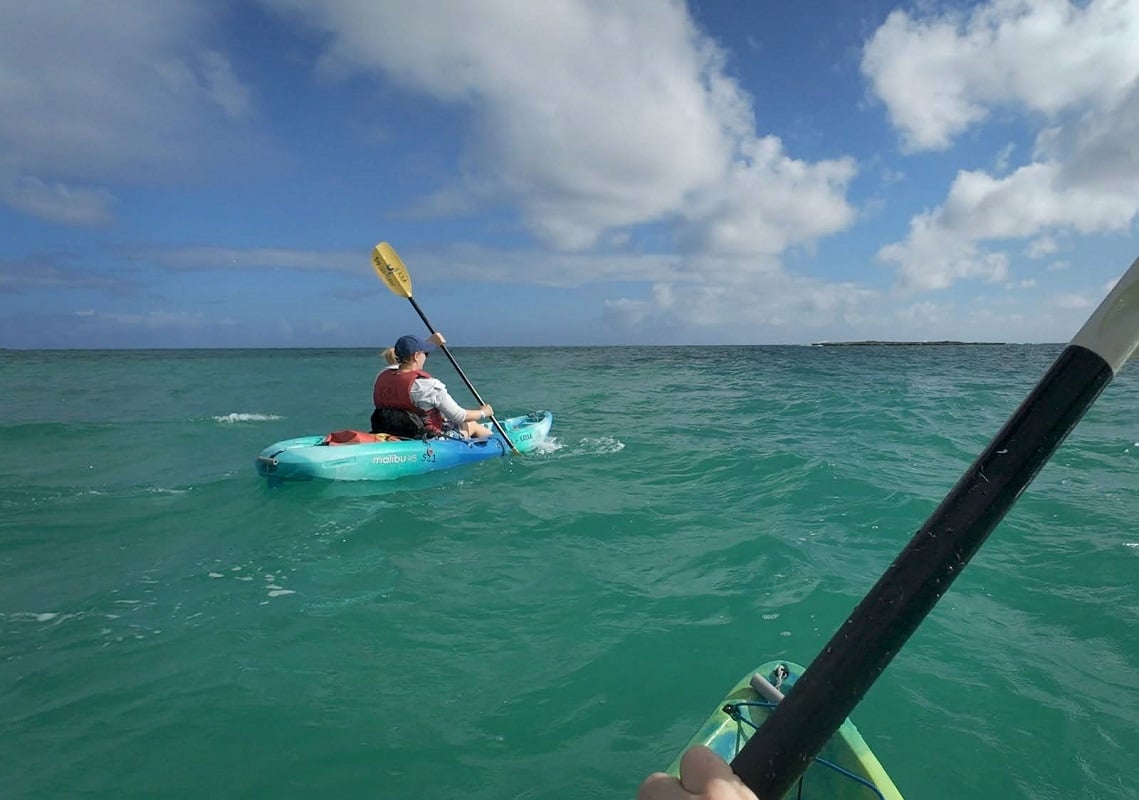 Old Town Malibu 11.5 - Best SOT Kayak for Dogs